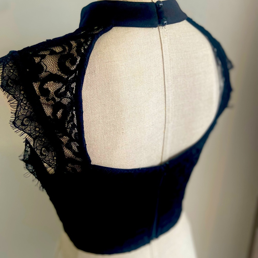 Very Sexy Lace Black Swan Corset - Picture 3 of 7